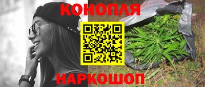 скорость Дубна