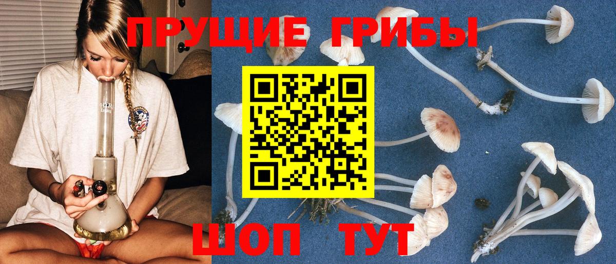 Минусинск  Псилоцибиновые грибы прущие грибы  купить закладку  Вход с VPN 