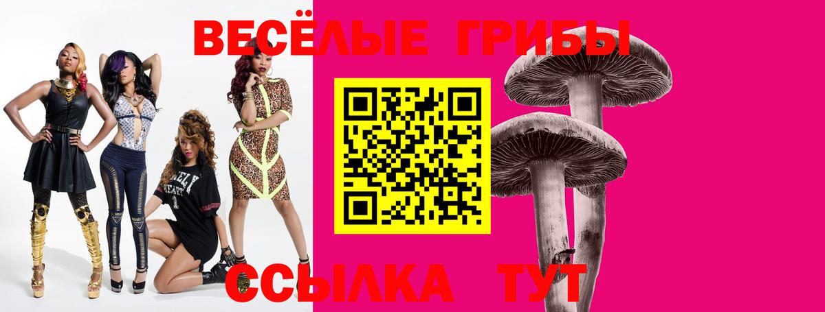 Галлюциногенные грибы мухоморы Минусинск